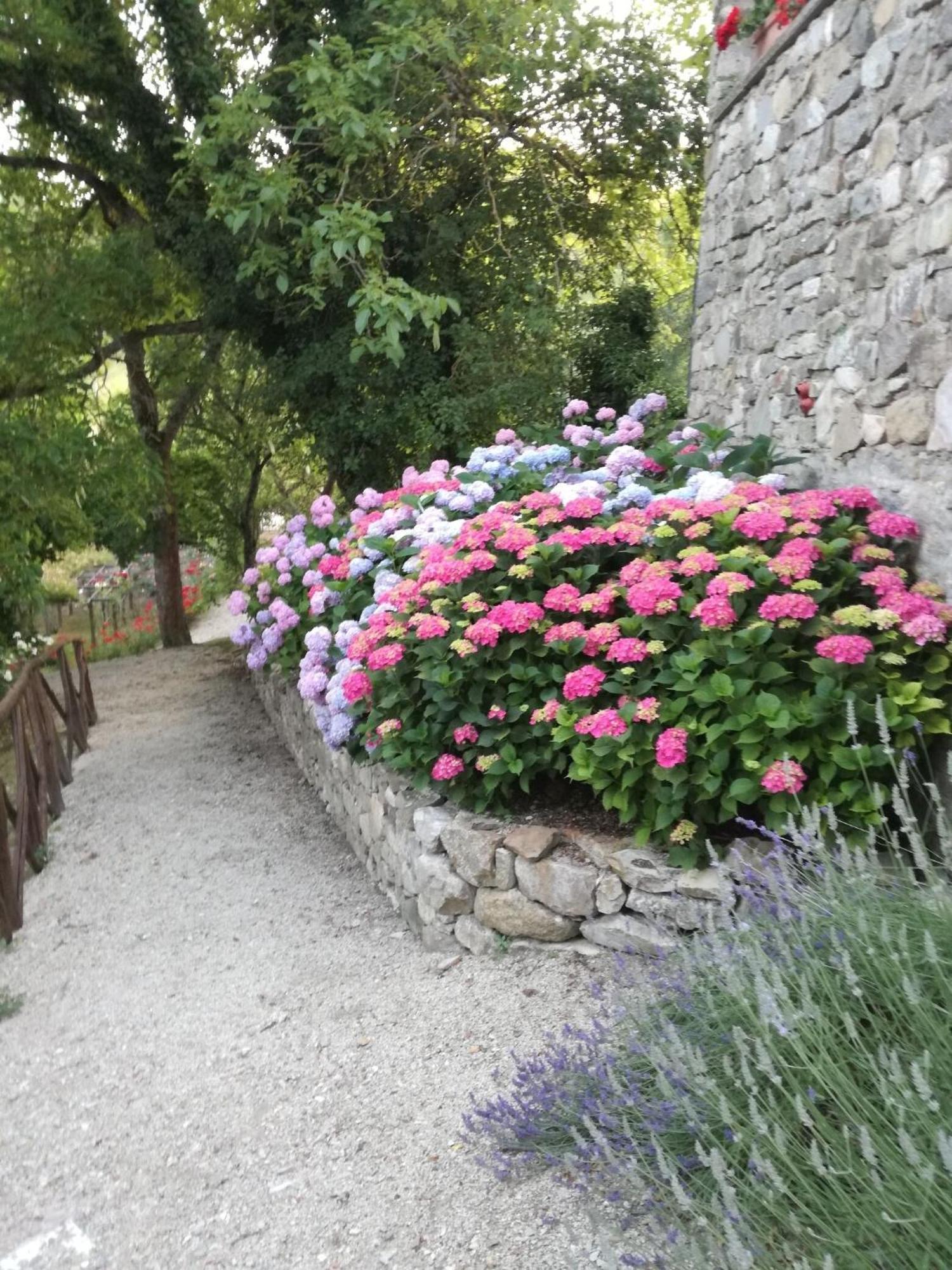Fattoria Di Arsicci Vila Caprile  Exterior foto